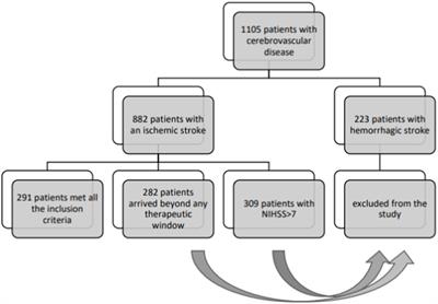 Clinical characteristics and management of functional neurological disorders (FND) mimicking stroke in emergency settings: a functional stroke mimic cases